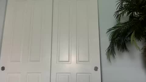 Snapshot of palmflaco chatting on October 11, 2025, 5:44 pm palmflacco online show from October 11, 2025, 5:44 pm