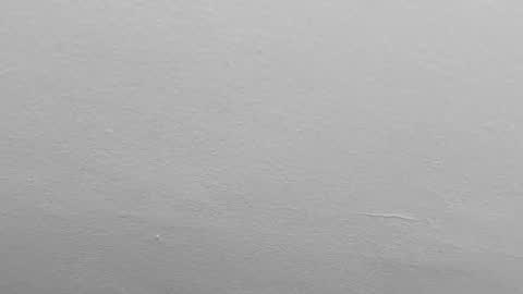 Pamela karim online show from February 1, 2025, 9:51 pm
