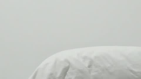 Pamela online show from January 9, 2025, 3:26 am