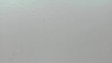  P A M  online show from February 1, 2026, 4:11 am