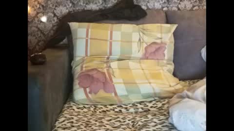 Pancamo online show from January 1, 2025, 8:37 pm