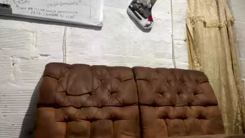 panthers_room online show from December 19, 2024, 10:56 am