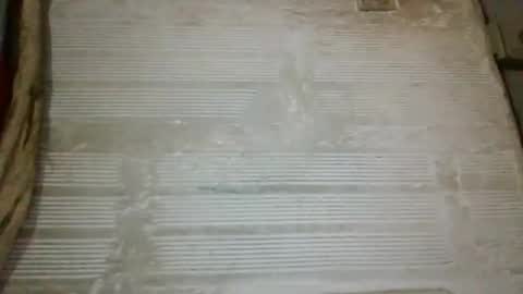 panthers_room online show from October 2, 2025, 8:54 am