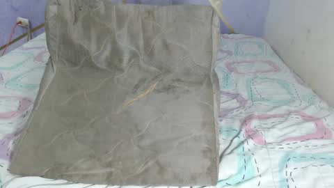 Paola Stone online show from April 15, 2026, 4:19 am