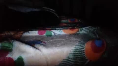 papi mexicano en boxers online show from November 20, 2025, 6:46 am