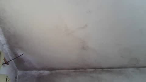 Snapshot of pareja201722 chatting on December 31, 2024, 4:25 pm pareja201722 online show from December 31, 2024, 4:25 pm