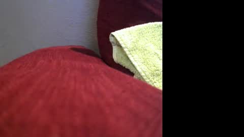 partofme83 online show from November 7, 2025, 9:04 pm