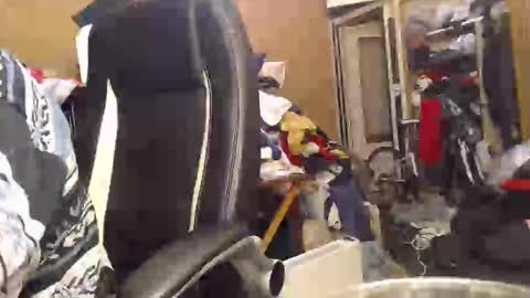 pascal88881 online show from December 2, 2024, 6:10 pm