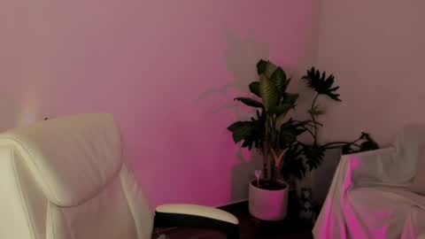    online show from April 7, 2026, 2:01 am