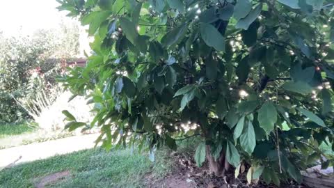 Andreea online show from September 23, 2025, 6:16 am