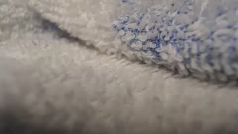 Patty online show from March 2, 2026, 5:08 am