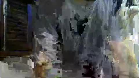 Snapshot of paugrosso202 chatting on November 24, 2025, 2:00 am paugrosso202 online show from November 24, 2025, 2:00 am