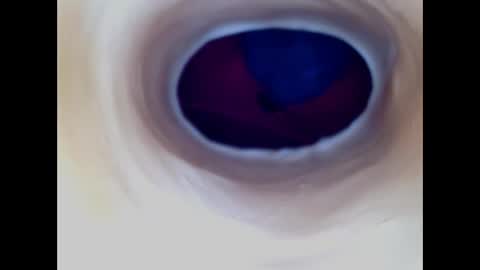 Paula 18 Aninhos online show from December 17, 2025, 5:57 am