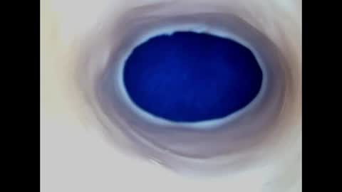 Paula 18 Aninhos online show from June 19, 2026, 5:06 pm