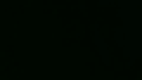 PaulCongo online show from April 22, 2026, 10:28 am