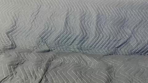 paupam online show from January 26, 2025, 7:31 pm