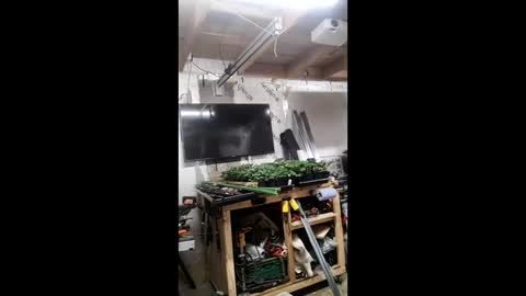 pawelniceguy online show from January 19, 2026, 2:26 am