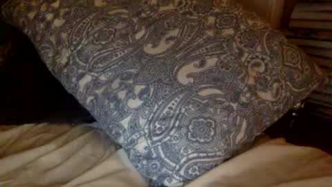 pea23 online show from February 27, 2026, 11:38 pm