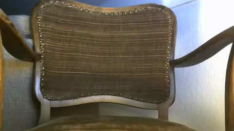 pedad1983 online show from November 20, 2025, 10:42 pm