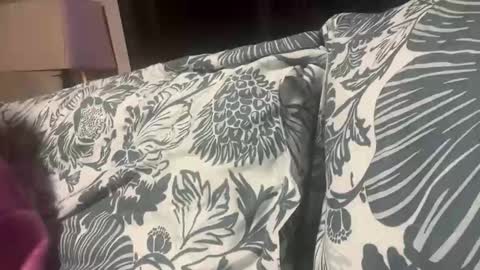 Snapshot of penutbutter691 chatting on November 19, 2025, 11:27 pm penutbutter691 online show from November 19, 2025, 11:27 pm