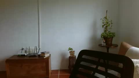 Snapshot of pepitt45 chatting on April 4, 2026, 2:36 pm Megan online show from April 4, 2026, 2:36 pm