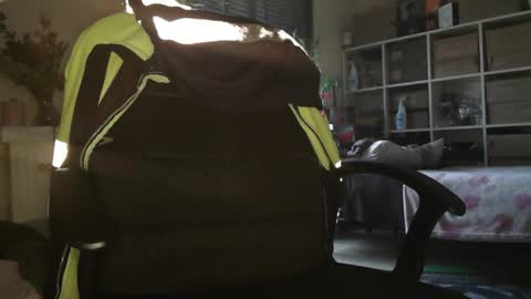 Snapshot of peregrintpelfox chatting on December 16, 2025, 10:20 am peregrintpelfox online show from December 16, 2025, 10:20 am