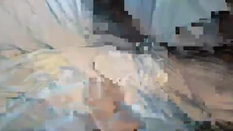 perreo69 online show from February 9, 2025, 10:53 am