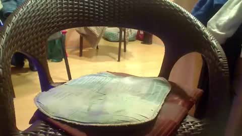 peta000007 online show from December 4, 2025, 9:12 pm