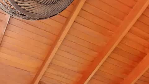 Snapshot of peter_jackson1 chatting on December 4, 2024, 11:57 pm peter jackson1 online show from December 4, 2024, 11:57 pm