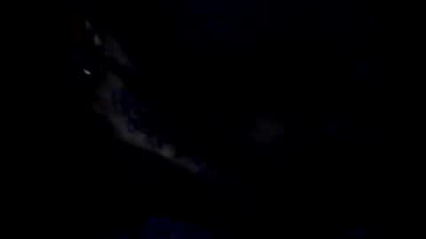 Snapshot of peterson1978 chatting on May 20, 2026, 12:06 am peterson1978 online show from May 20, 2026, 12:06 am