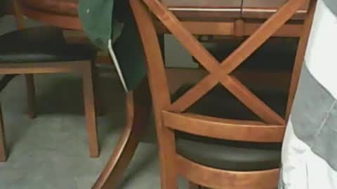 Snapshot of petesplace chatting on February 23, 2025, 11:00 am pete online show from February 23, 2025, 11:00 am