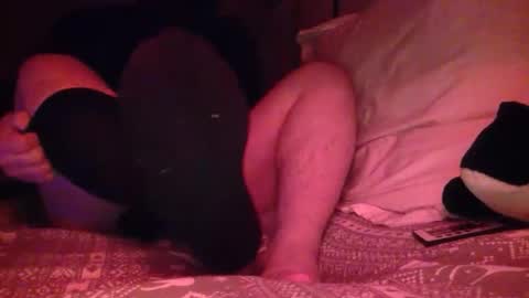 petmask online show from April 21, 2026, 12:34 am