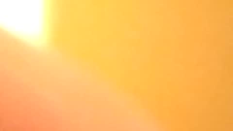 petw45 online show from February 25, 2026, 2:21 am