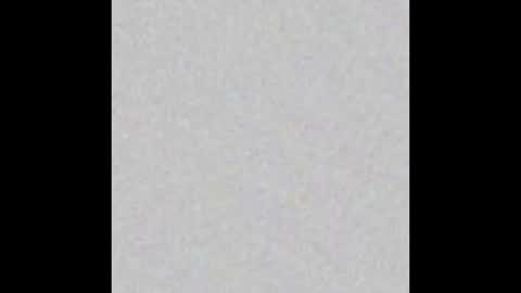 peytonn_monroe online show from November 6, 2025, 11:33 am