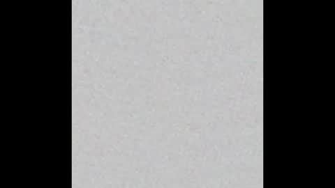 peytonn_monroe online show from January 19, 2026, 12:53 pm