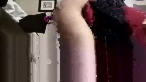 phillipdee online show from November 13, 2025, 8:30 pm