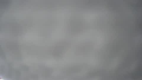 pichard18 online show from December 13, 2024, 5:16 am