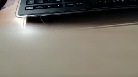 pier49x online show from December 4, 2024, 3:15 am