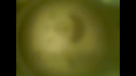 Snapshot of pierrecard1 chatting on October 13, 2025, 5:40 am pierrecard1 online show from October 13, 2025, 5:40 am