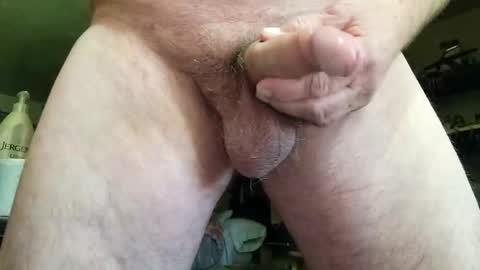 pigglywiggly9184100 online show from November 13, 2025, 6:29 pm