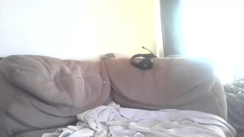 Snapshot of piggyfun79 chatting on March 1, 2026, 1:51 am Piggyfun1979 online show from March 1, 2026, 1:51 am