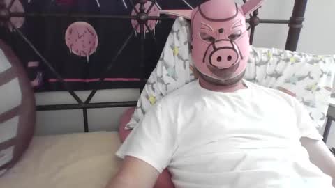 Snapshot of piggyplaypen chatting on May 26, 2026, 7:32 pm piggyplaypen online show from May 26, 2026, 7:32 pm