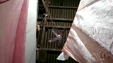 pinaybobs online show from March 2, 2026, 8:48 pm