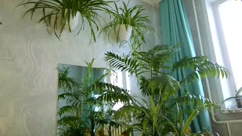 Snapshot of pink_light chatting on February 11, 2026, 5:34 am Tatyana online show from February 11, 2026, 5:34 am