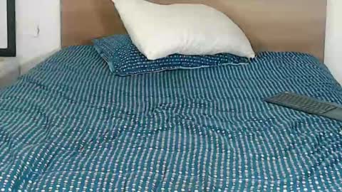 Snapshot of pinkliminof chatting on January 29, 2025, 2:09 am Pamela Ston online show from January 29, 2025, 2:09 am