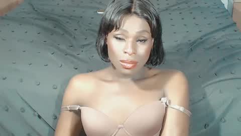 Snapshot of pinkliminof chatting on March 8, 2025, 2:51 pm Pamela Ston online show from March 8, 2025, 2:51 pm