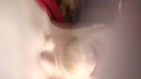 Snapshot of pinkytinky4 chatting on December 17, 2025, 1:11 am pinkytinky4 online show from December 17, 2025, 1:11 am