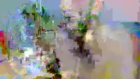 Snapshot of pipe_sexxx chatting on October 14, 2025, 2:34 am pipe_sexxx online show from October 14, 2025, 2:34 am