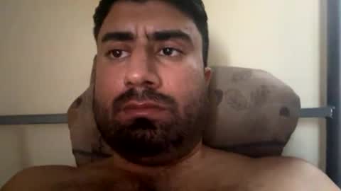 pipi144 online show from January 29, 2025, 11:51 am