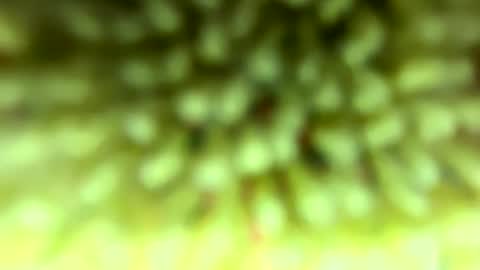 Snapshot of pitt821 chatting on February 4, 2026, 9:09 pm Mike online show from February 4, 2026, 9:09 pm